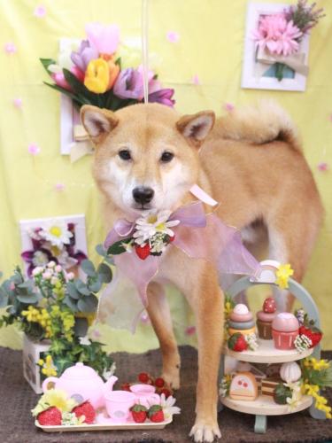 20230315シュウくん